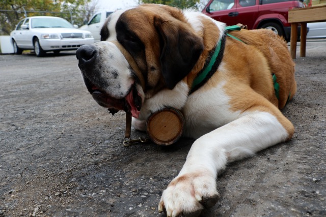 YAPPY HOUR BREW-IN AT APOCALYPSE BREW WORKS – AUGUST 19TH